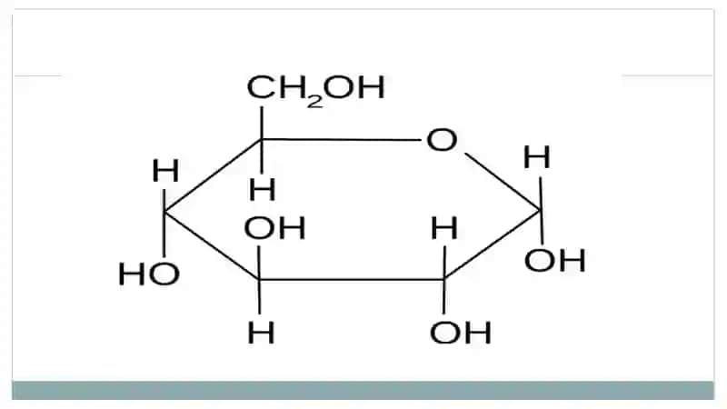 Glyukozatashuvchilarining tuzilishi 2