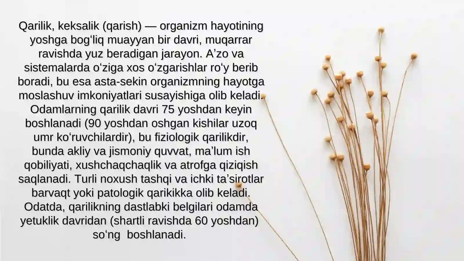 Qarilik davrining ijtimoiy muommolari 2