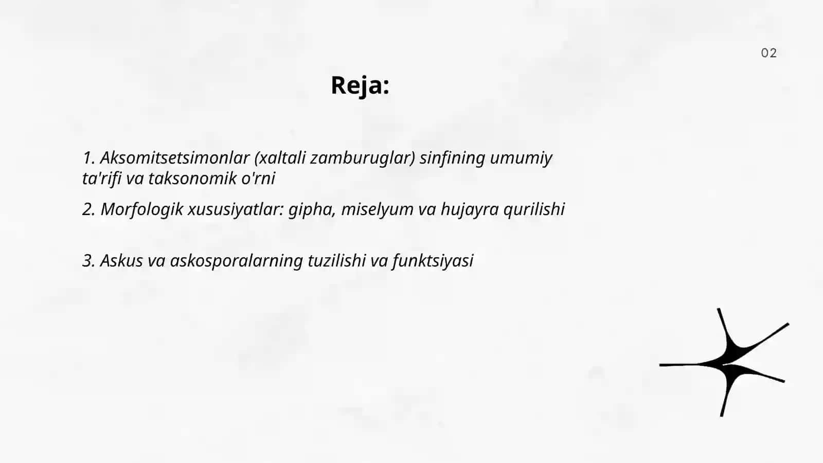 Aksomitsetsimonlar yoki xaltali zamburuglar sinfining umumiy xarakteristikasi ahamiyati vakillari 2