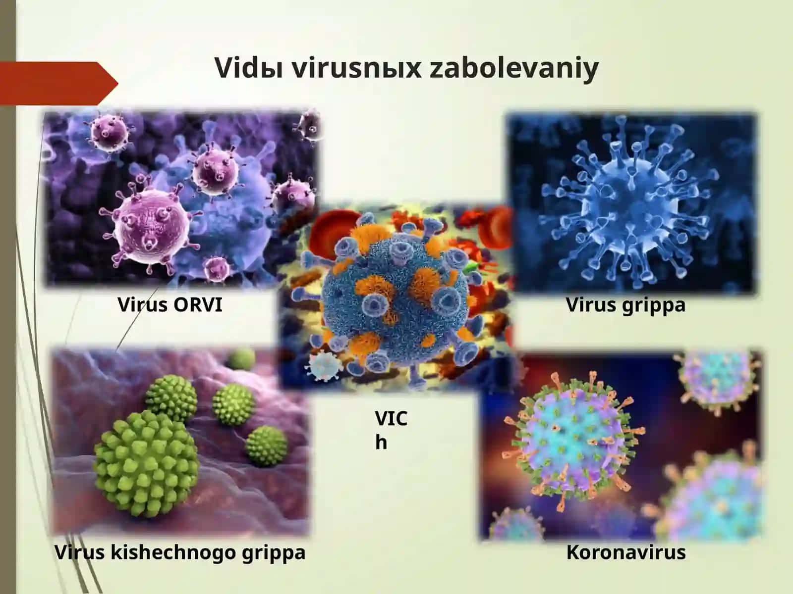 Virusli kasalliklar profilaktikasi 2