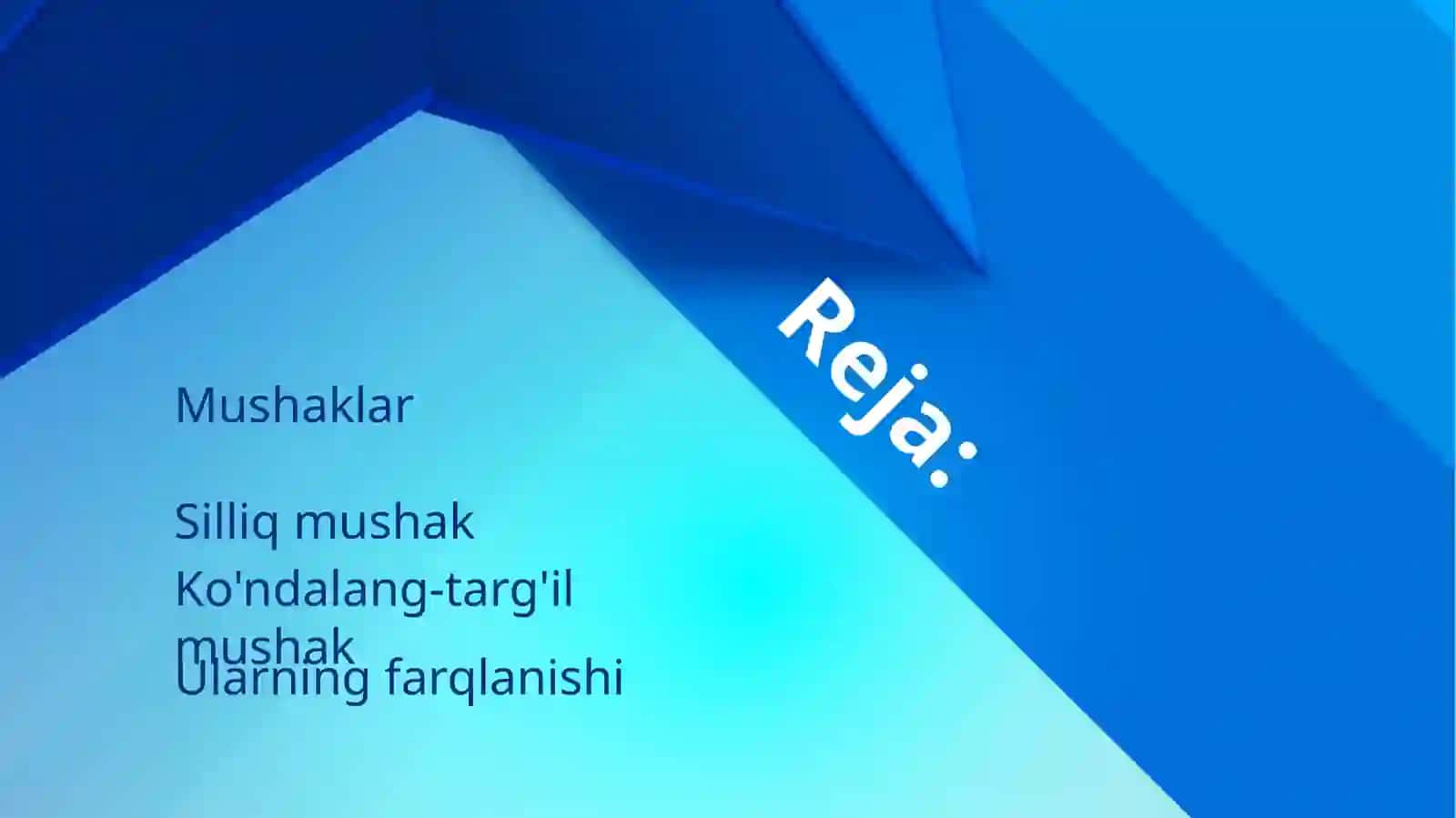 Mushaklar 2