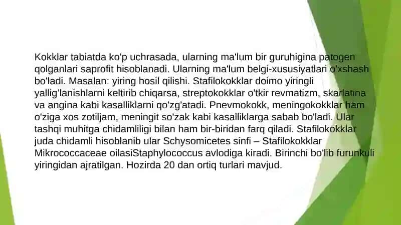 Shartlipatogen anaerob kokklar (peptokklar, peptostreptokokklar, veylonellalar) 2