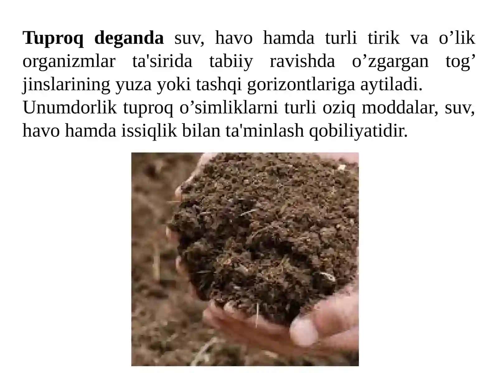 Tuproqlar Geografiyasi. O‘zbekiston Tuproqlari 2