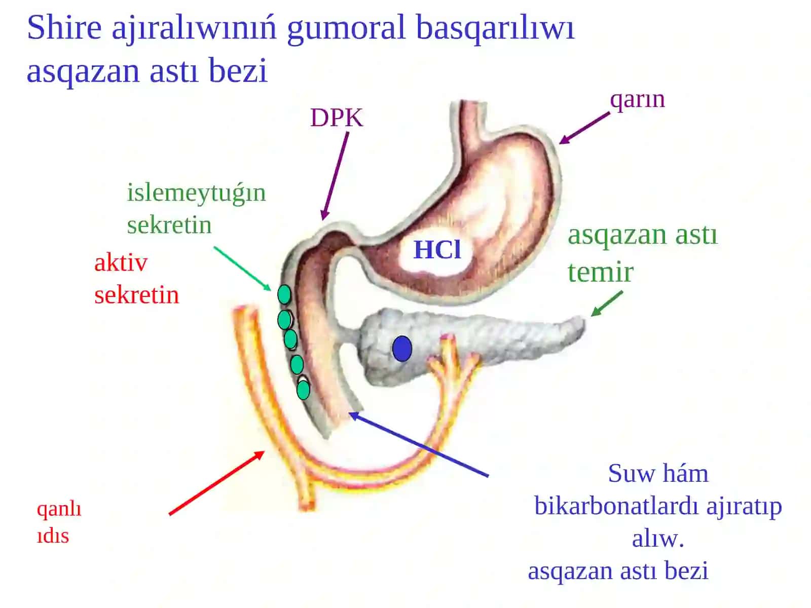 Gastrointestinal gormanlar 2
