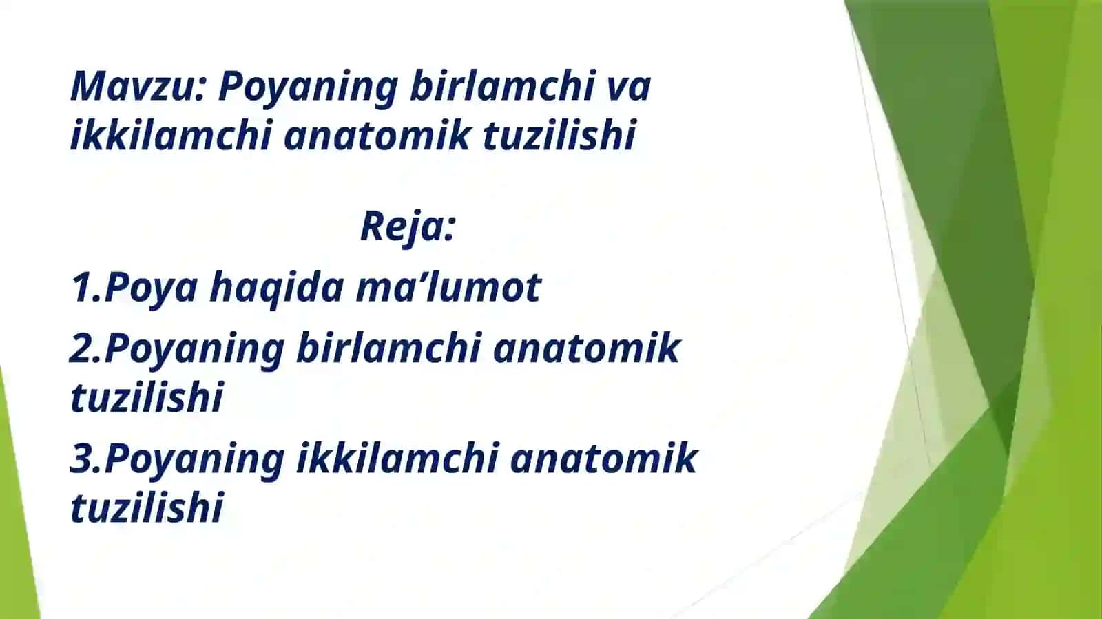 Poyaning birlamchi va ikkilamchi anatomik tuzilishi 2