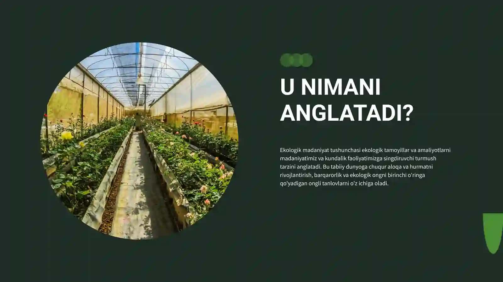 Ekologik madaniyat 2