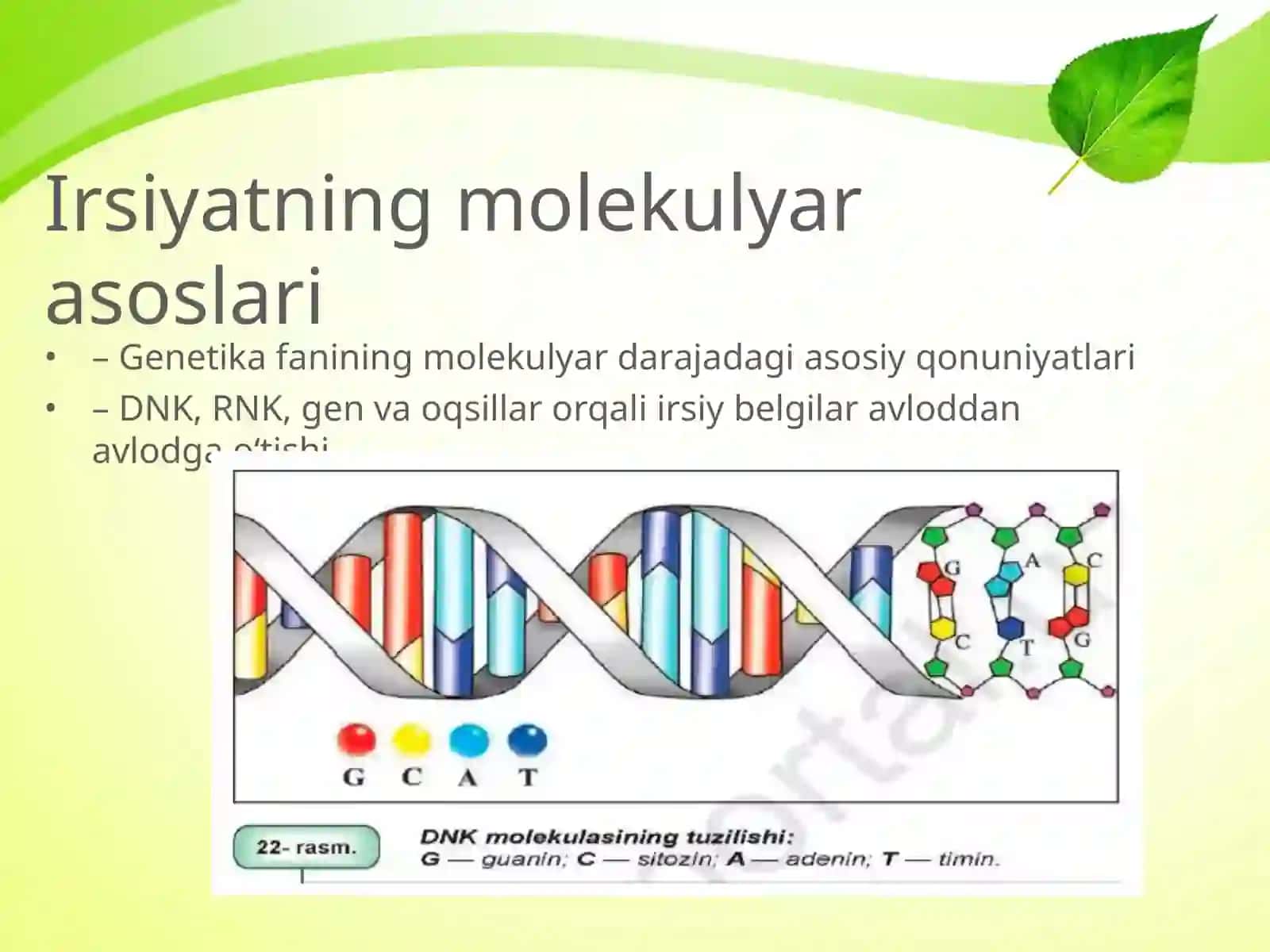 Mavzu: IRSIYATNING MOLEKULYAR ASOSLARI 2