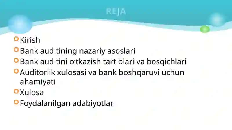 Bankauditining o'tkazish tartiblari 2