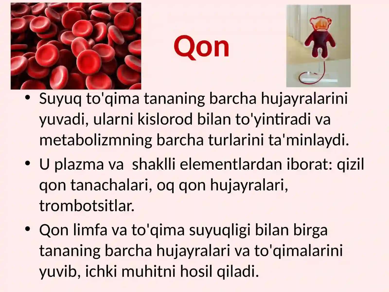 Qon 2
