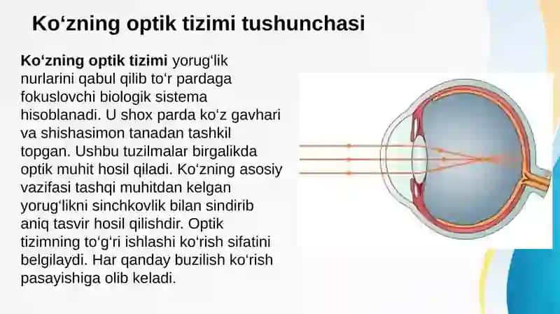 Ko’zning optik tizimi. Uzoqdan va yaqindan ko’rishning sabablari, ko’zning to’rpardasida ketadigan fotobiologik jarayonlarni tibbiyotda qo’llanilishi. Ko’zning ko’rish o’tkirligini, ko’zning ko’rish maydonini aniqlash 2