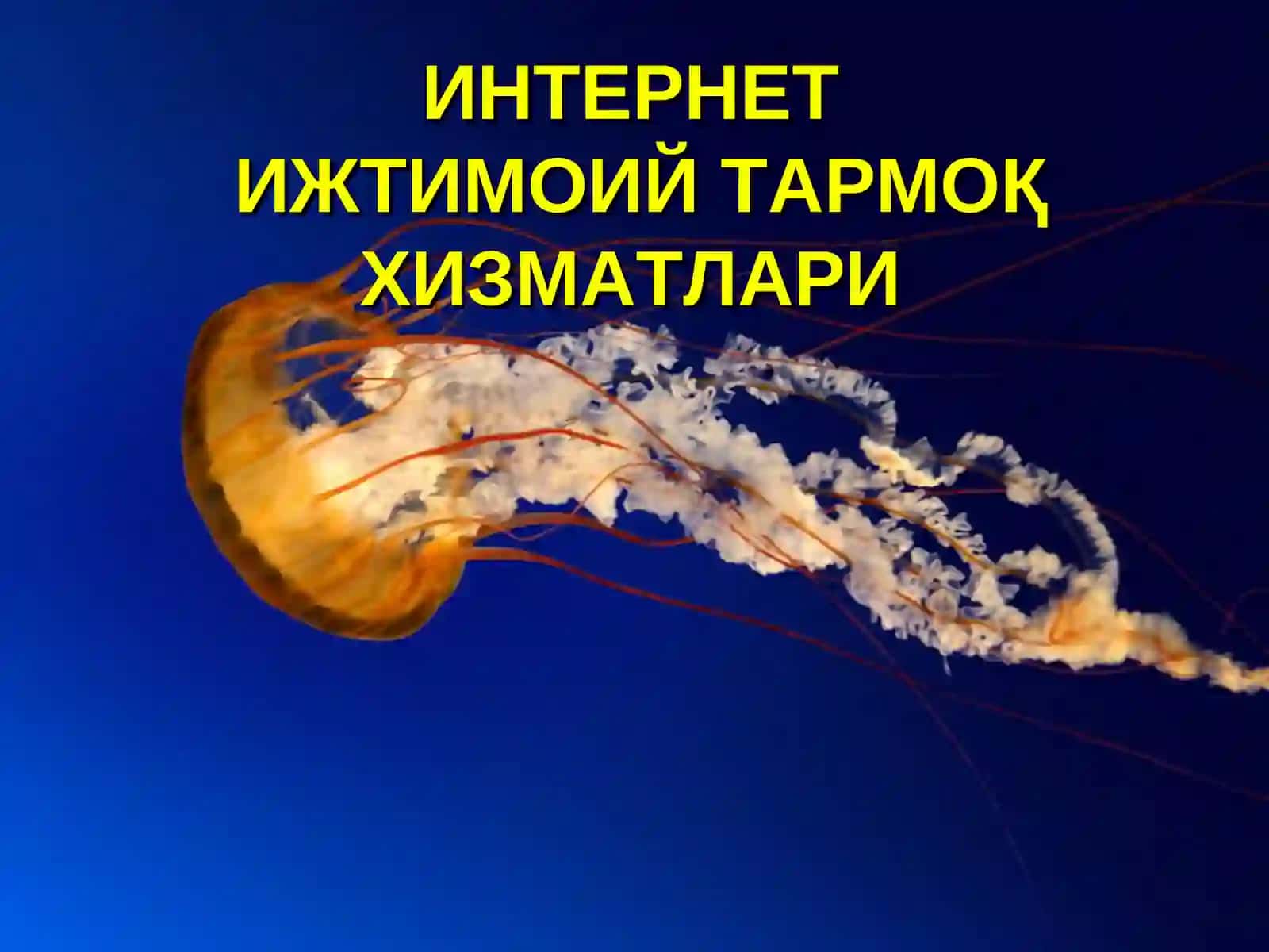 ИНТЕРНЕТИЖТИМОИЙ ТАРМОҚ ХИЗМАТЛАРИ 2