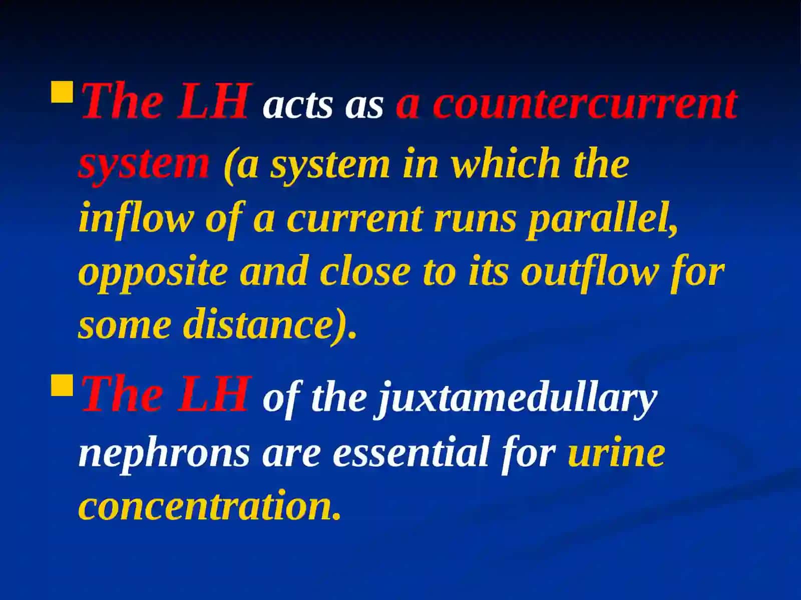 Henle chizqilari (LH)The loops of Henle (LH) 2