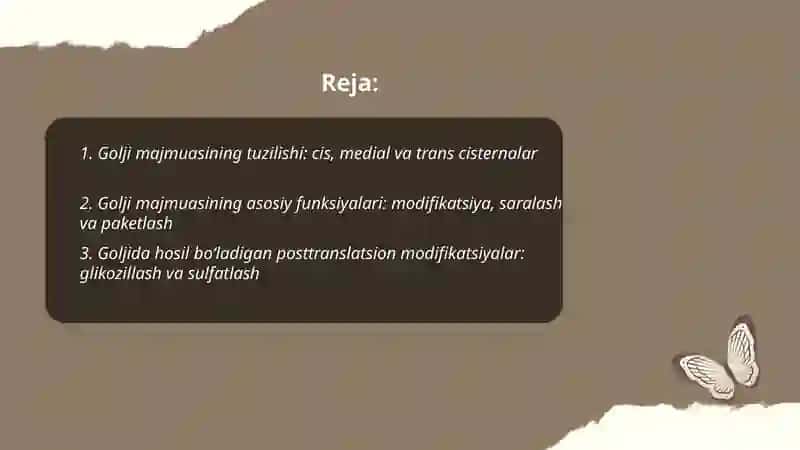 Sitoplazma organoidlari Golji majmuasi va lizosoma 2