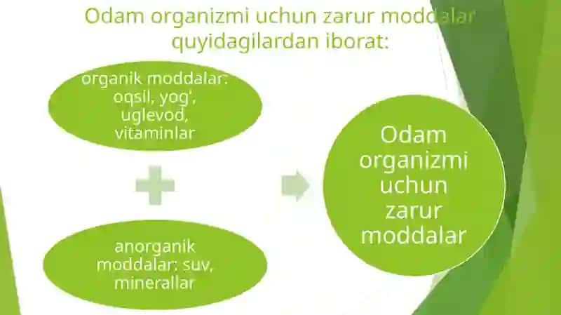 ODAMNINGOVQAT HAZMQILISH SISTEMASI 2