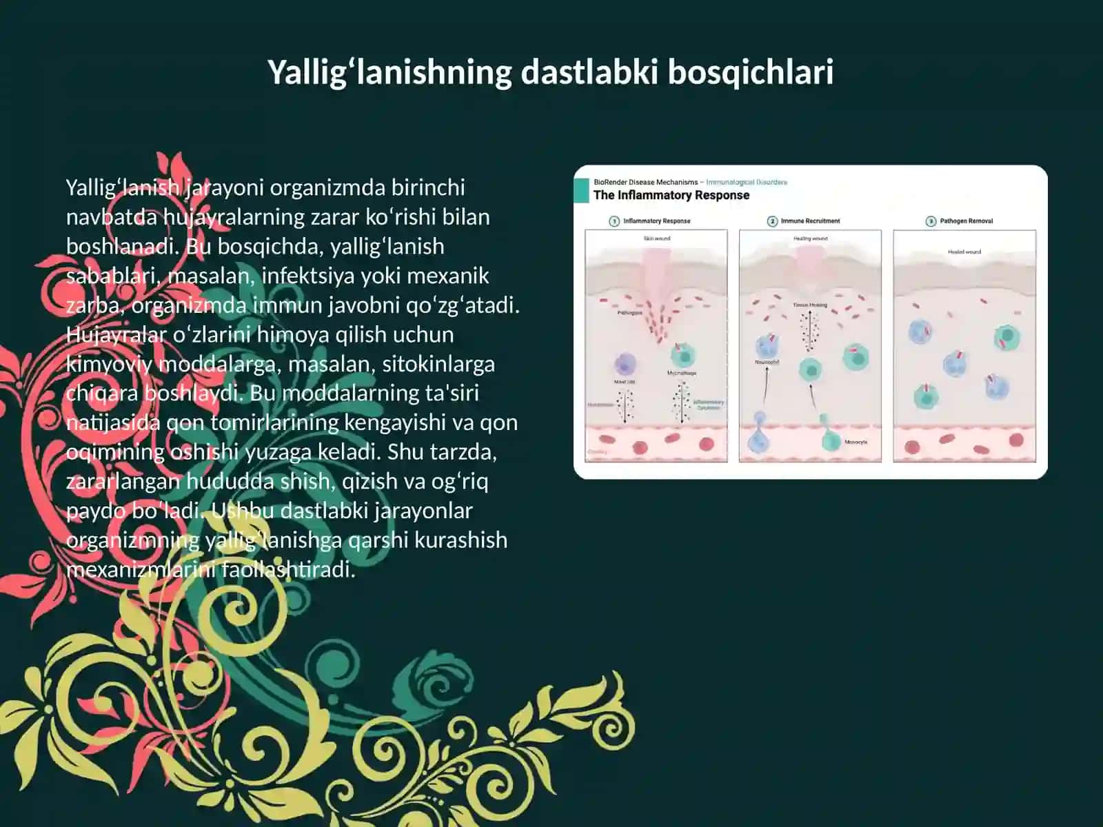 ANATOMIYA fanidan bajargan mustaqil taʼlim ishi 2