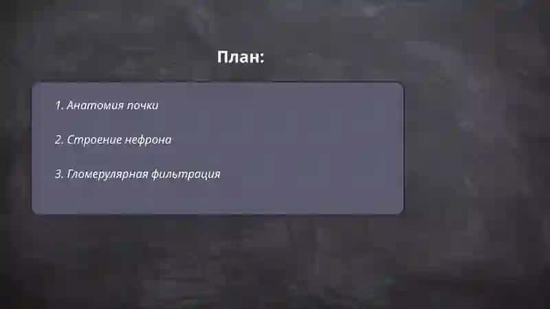 Почки 2
