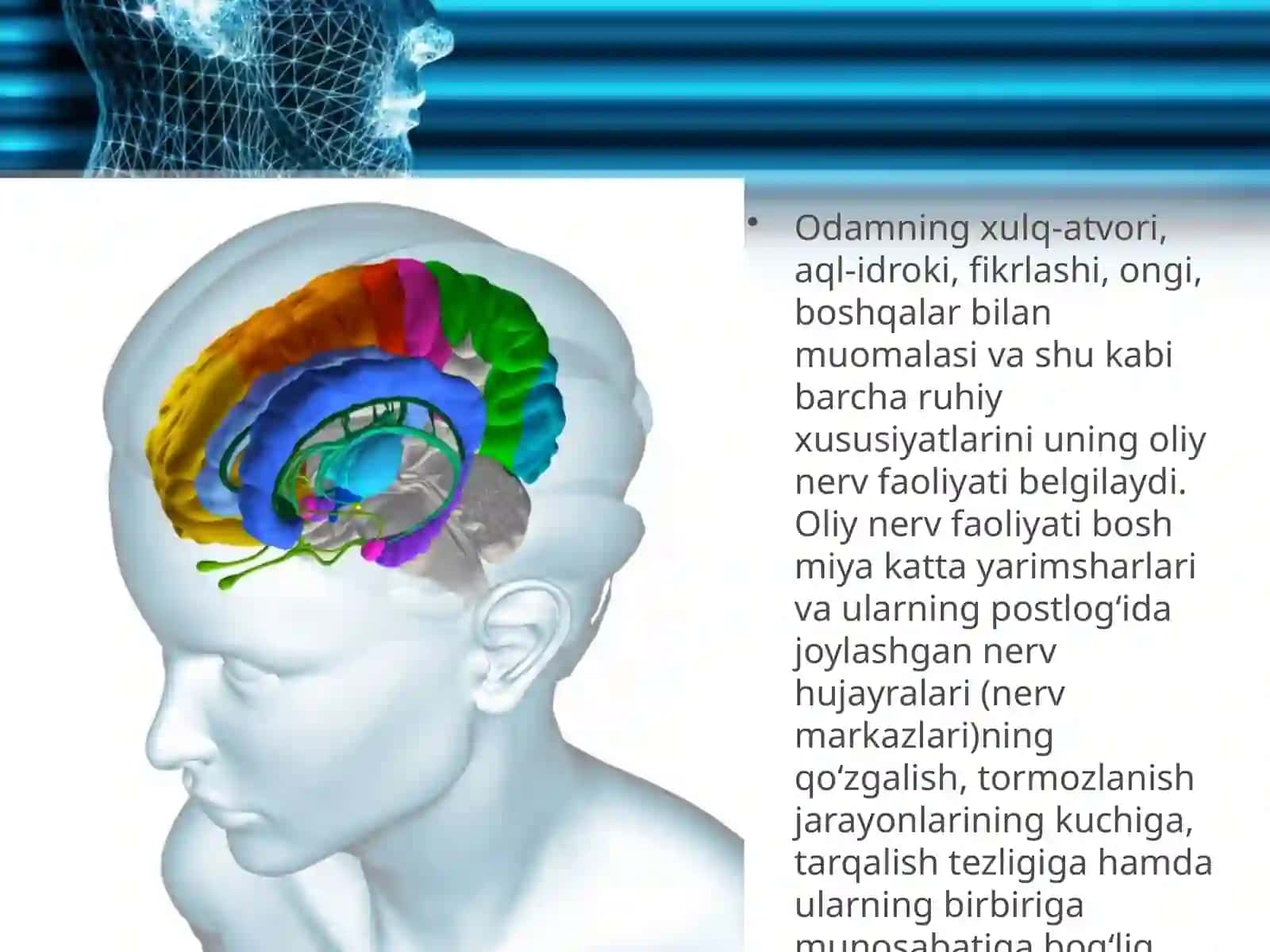 Oliy nerv faoliyati—odam xulq-atvorining asosi 2