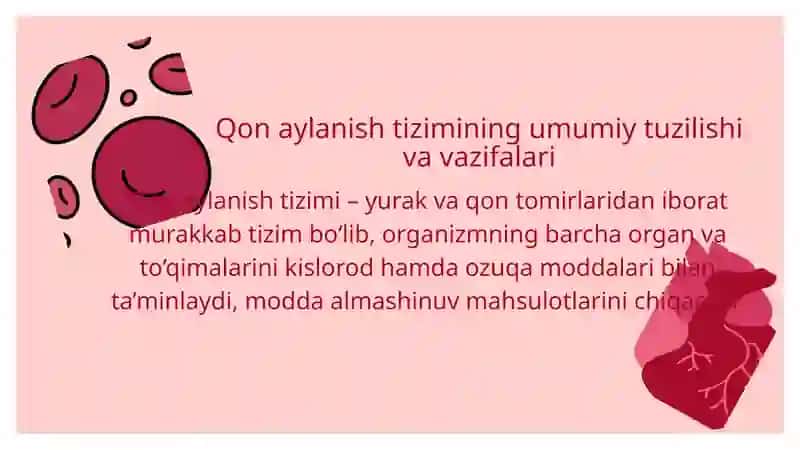 Qon aylanish tizimi 2