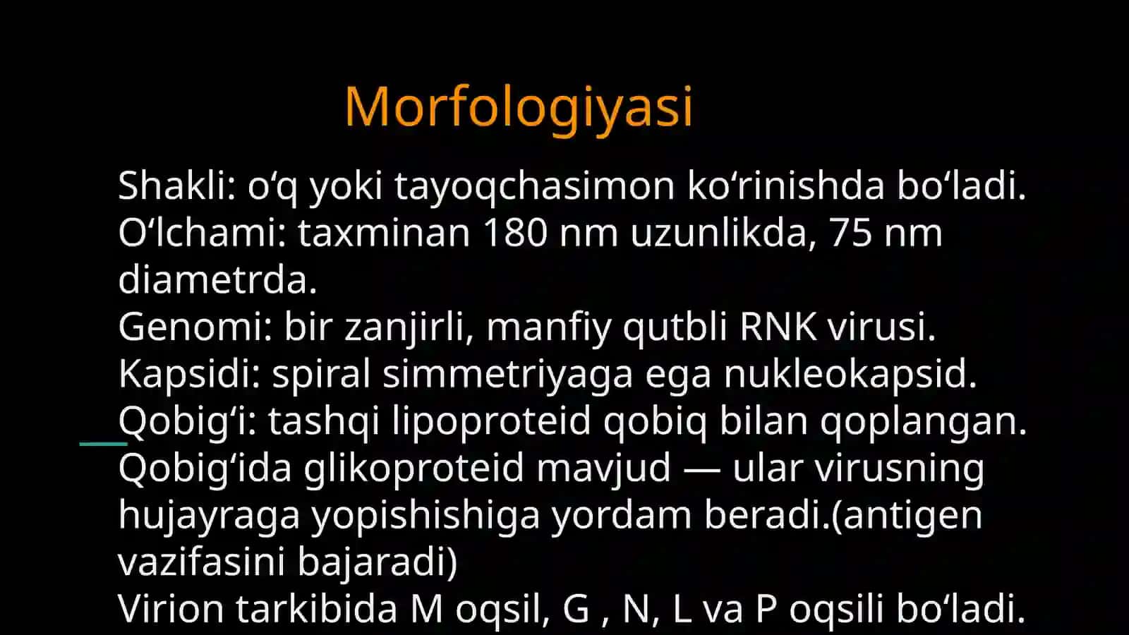 Gerpes (alfa betta gamma), Rabdoviruslar (quturish) 2