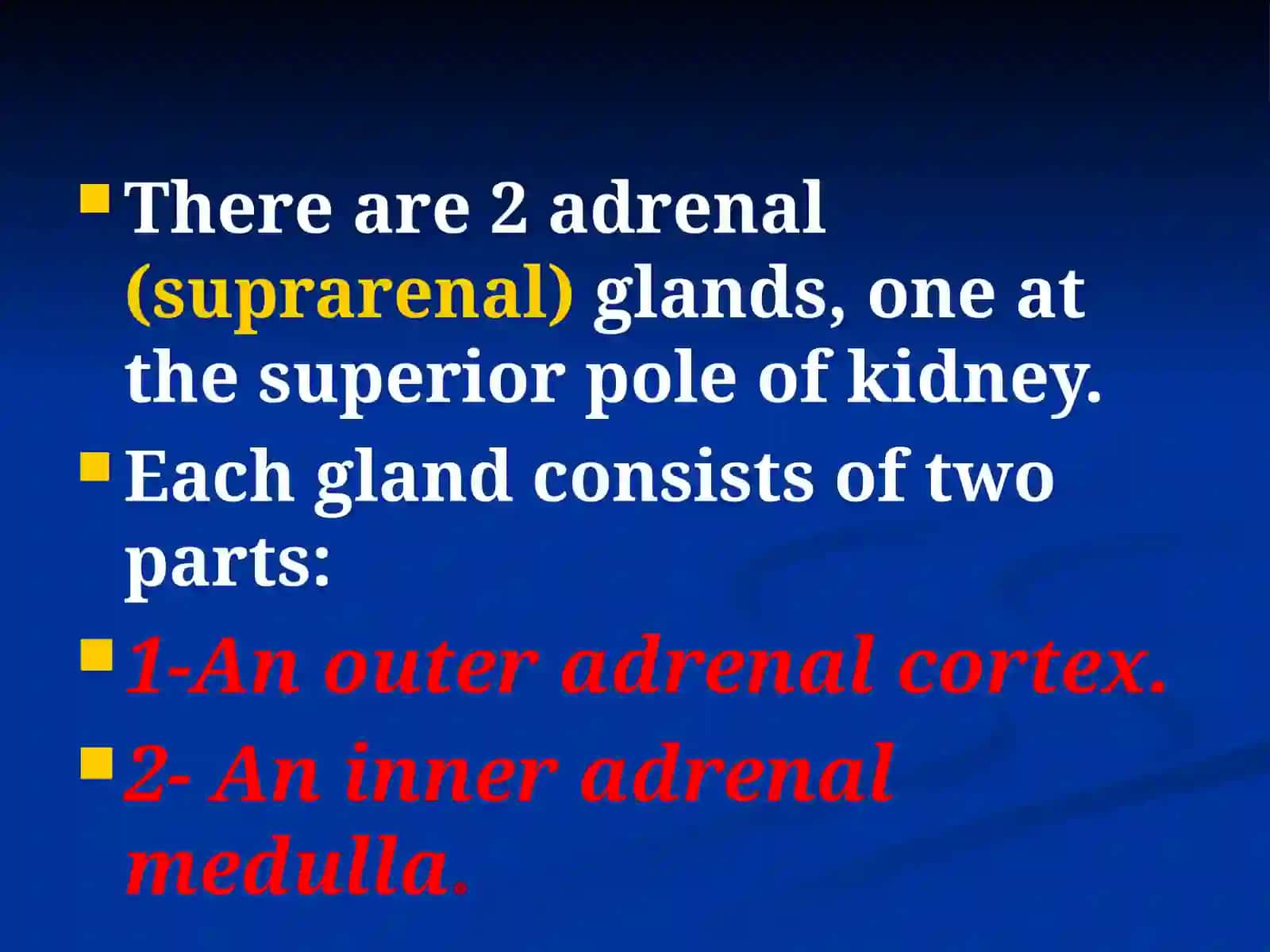Adrenal glands 2