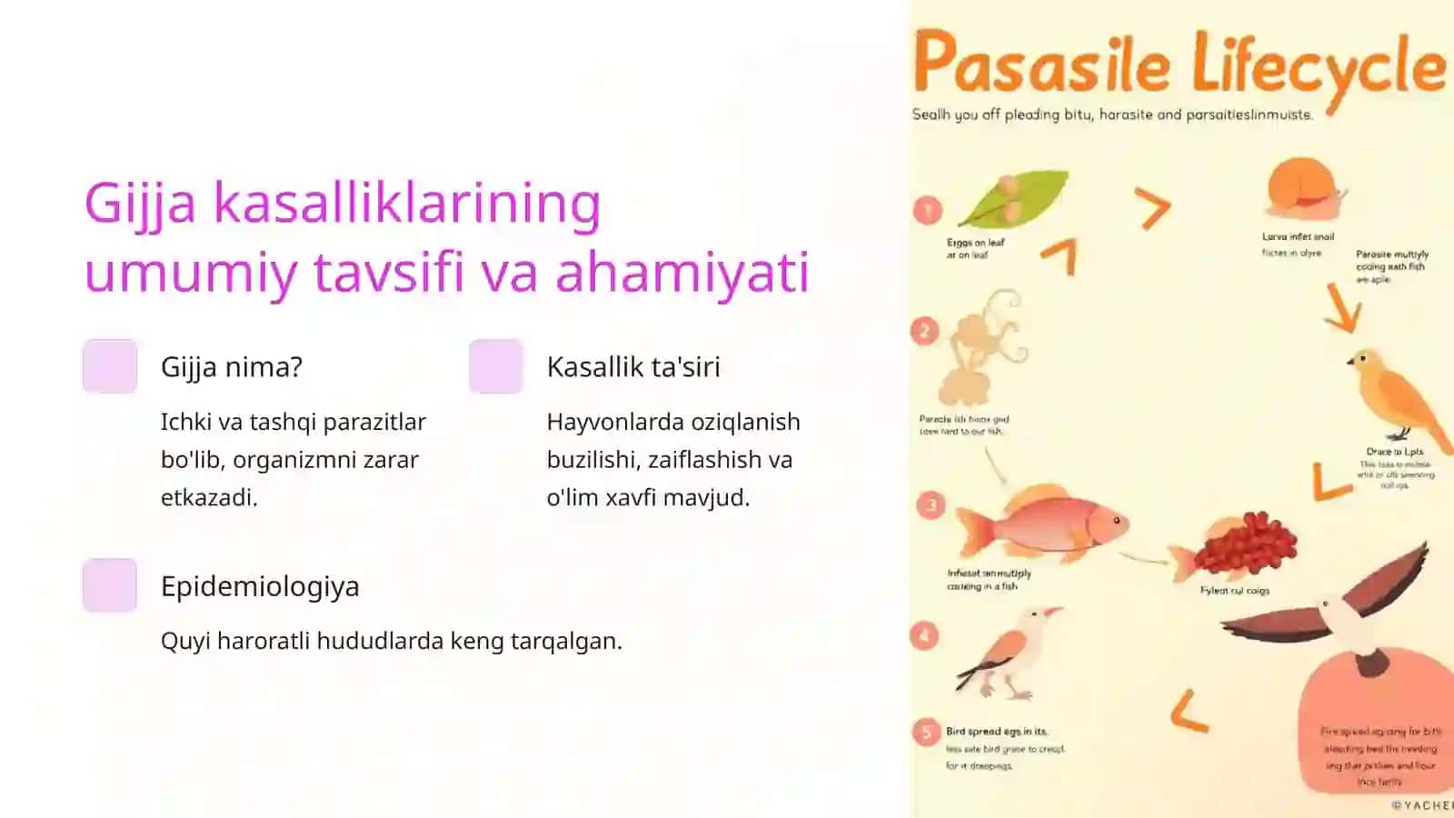 Gijjalarga qarshi dori vositalari 2
