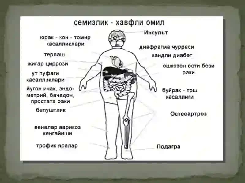 Alimentar 2