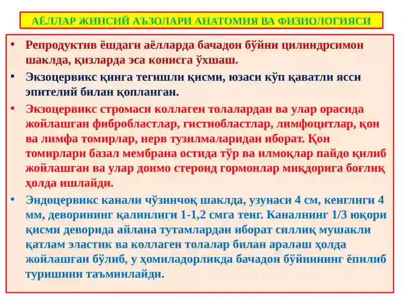 АЁЛЛАР ЖИНСИЙ АЪЗОЛАРИ АНАТОМИЯ ВА ФИЗИОЛОГИЯСИ 2