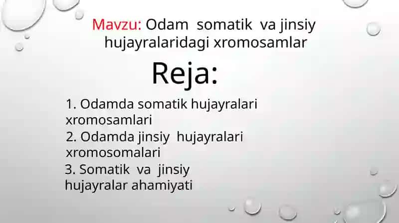 Odam somatik va jinsiy hujayralaridagi xromosamlar 2