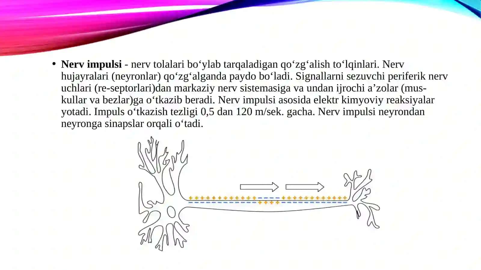Prezentatsiya 2