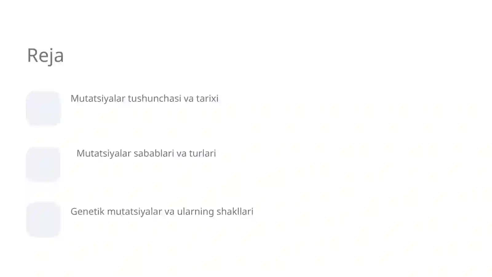 Muslimaxon 2