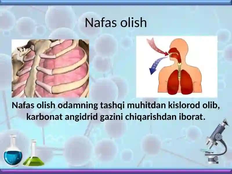 Nafasolish 2