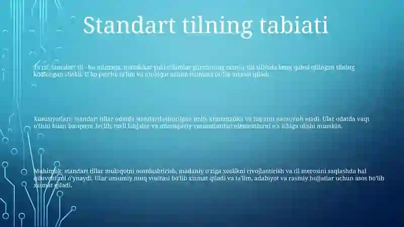 Adabiy Til Me'Yorlari 2