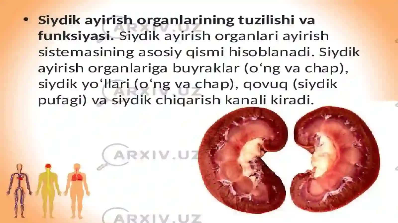 KopTarmoqli Tibbiyot Texnikumi Hamishiralikishiyonalishi 2