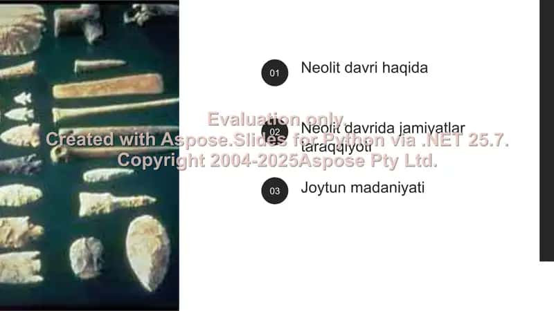 Neolit davri 2