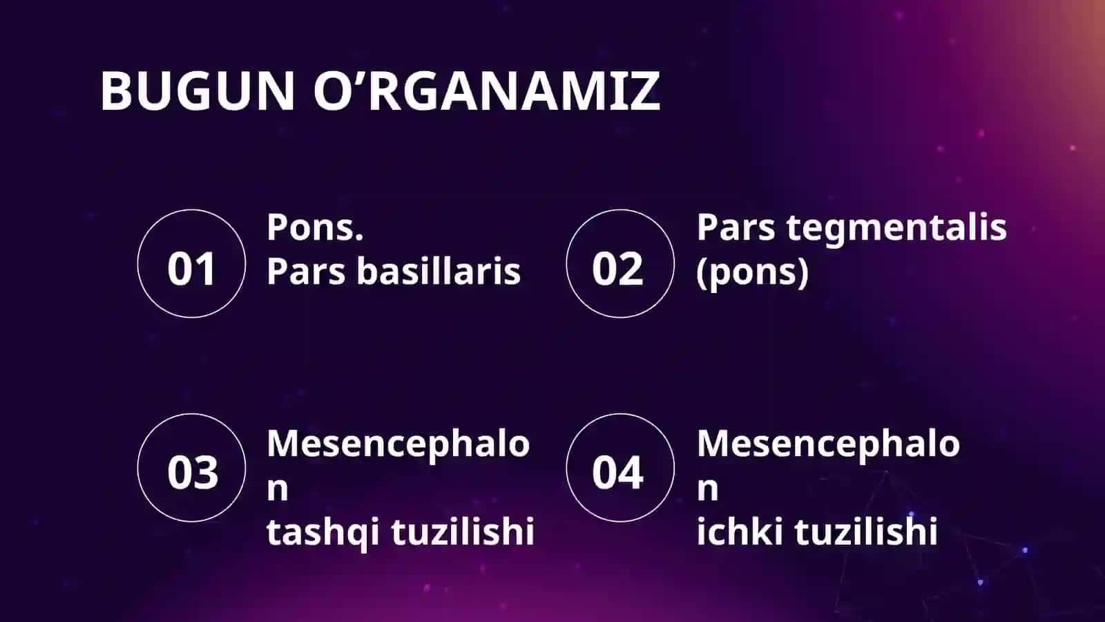 PONS ET MESENCEPHALON 2