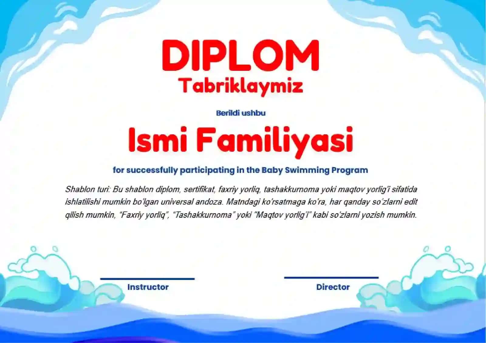DIPLOM 2
