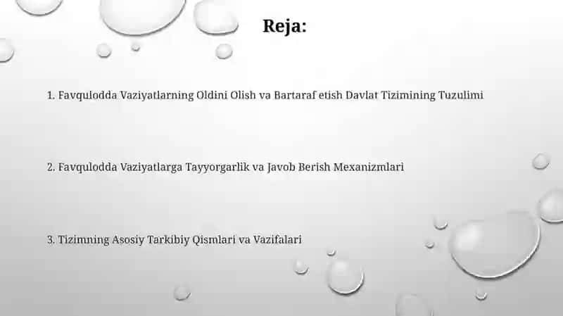 Favqulodda Vaziyatlarning Oldini Olish va Bartaraf etish Davlat Tizimining Tuzulimi 2