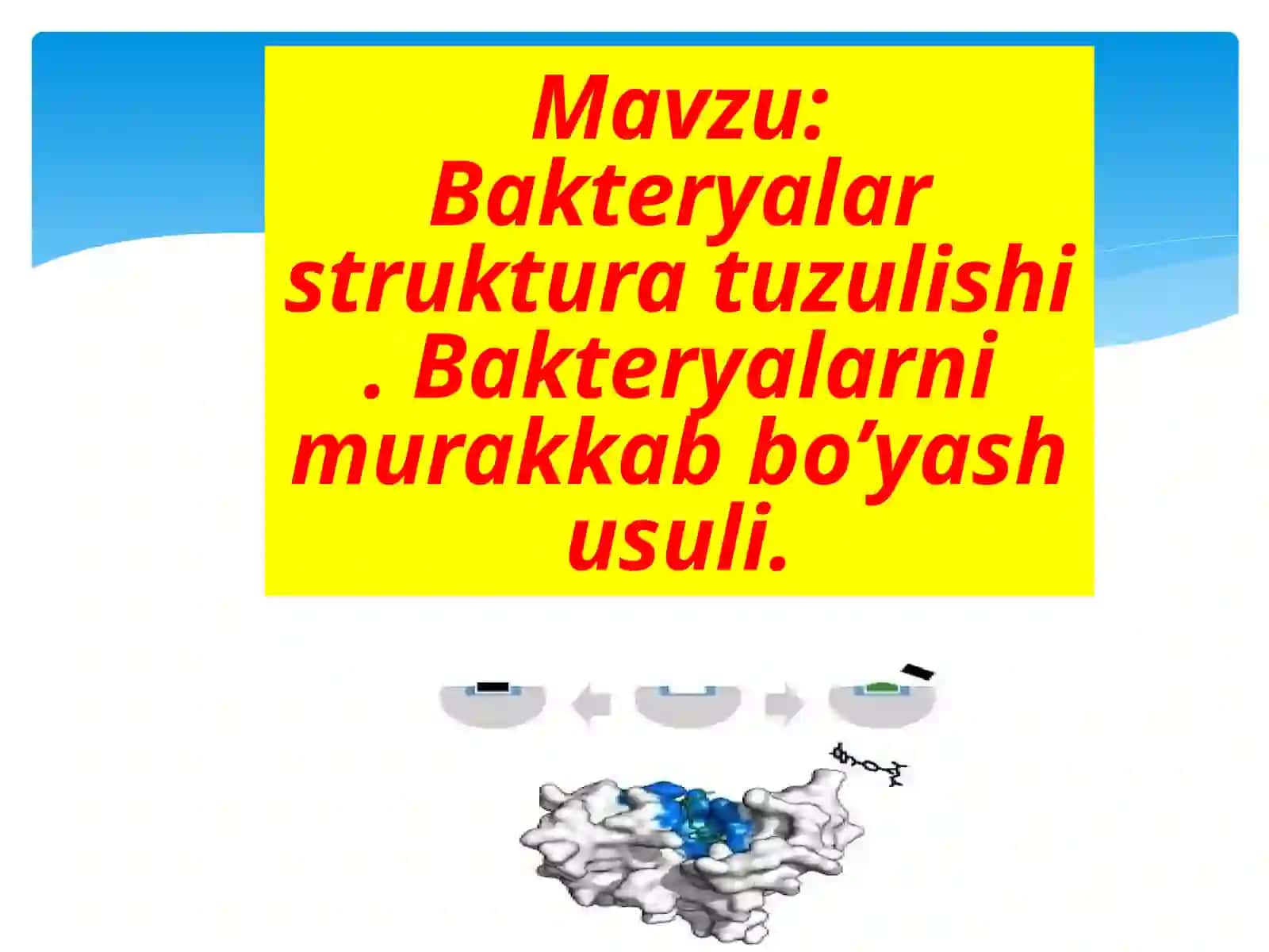 Bakteriyalar struktura tuzulishi 2