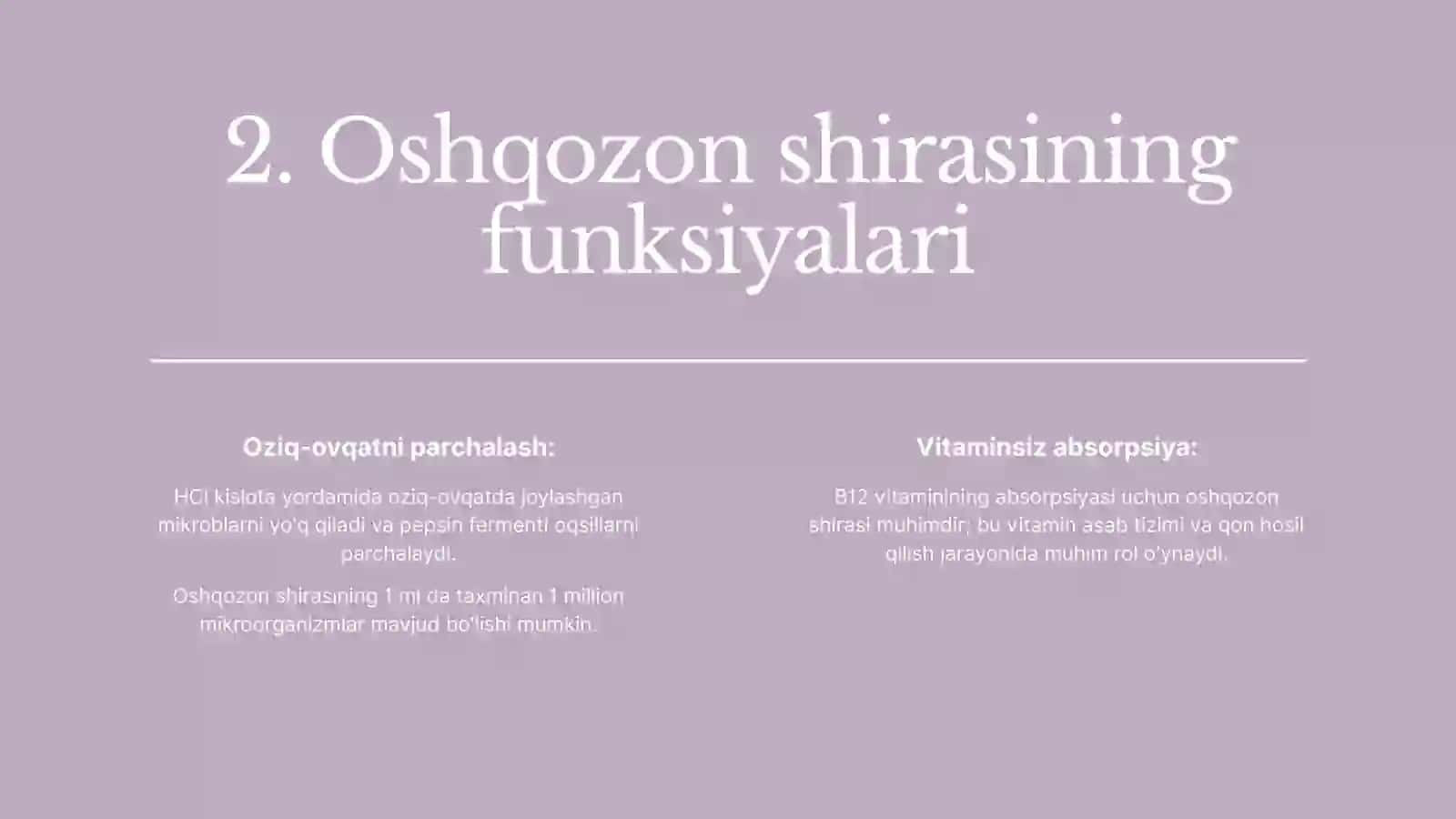 Oshqozon shirasi 2