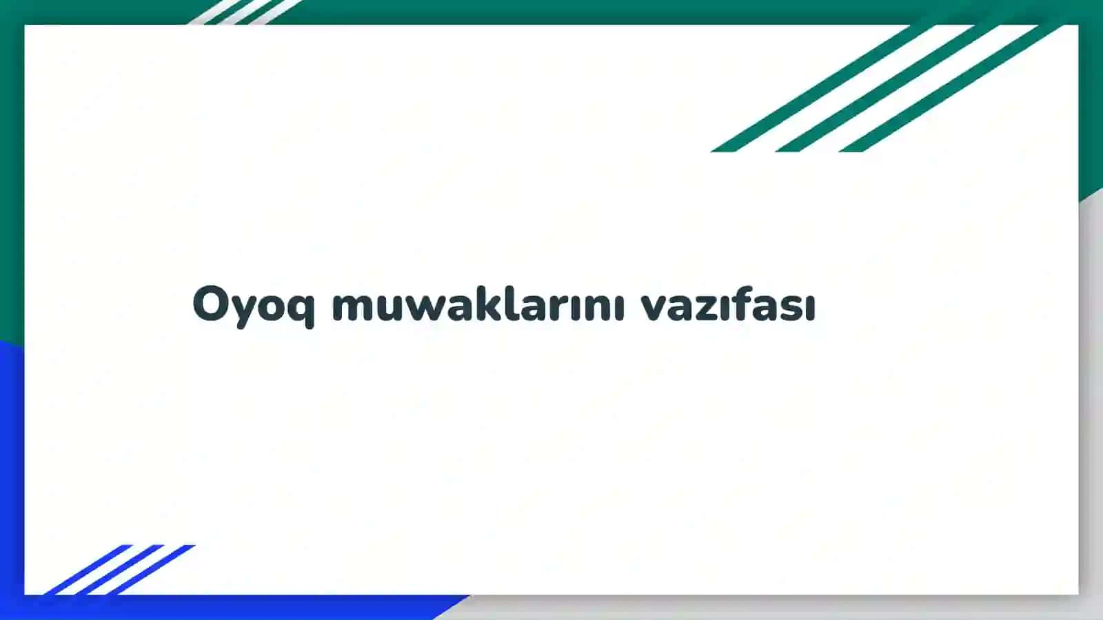 Oyoq muwaklarını vazıfası 2