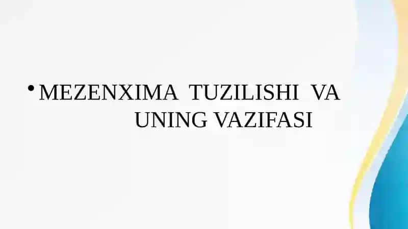 Mezenximato’qimasivauning vazifasi 2