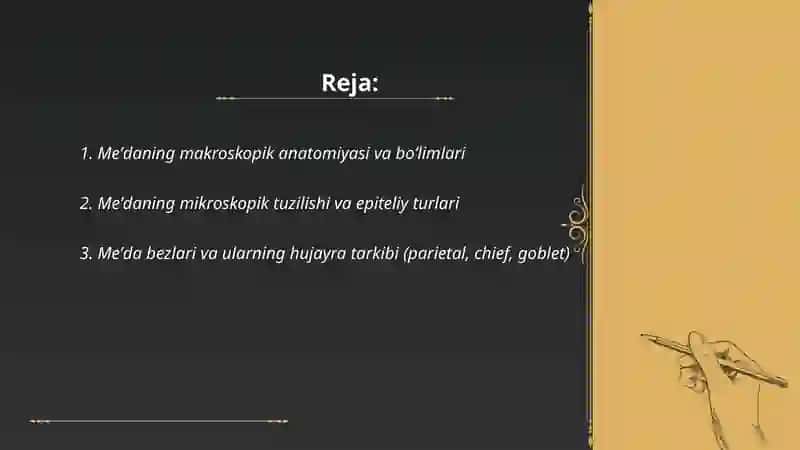 Meʼda va meʼda osti beziga taʼrif 2