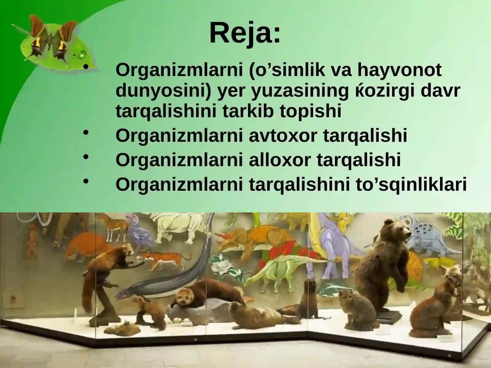 Organizmdagi siklik jarayonlar 2