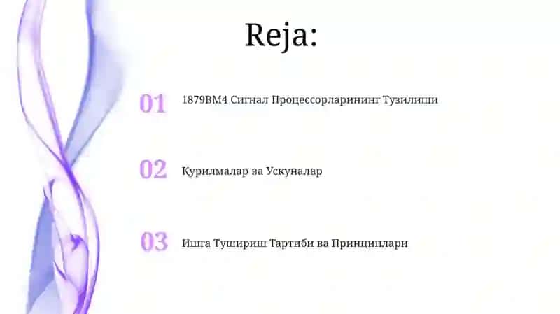 1879BM4 Сигнал Процессорларининг Тузилиши 2