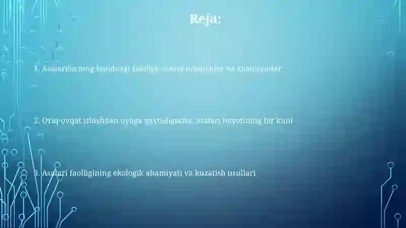 Asalarilarning ertalabki vakunduzgi faoliyatini kuzatish 2