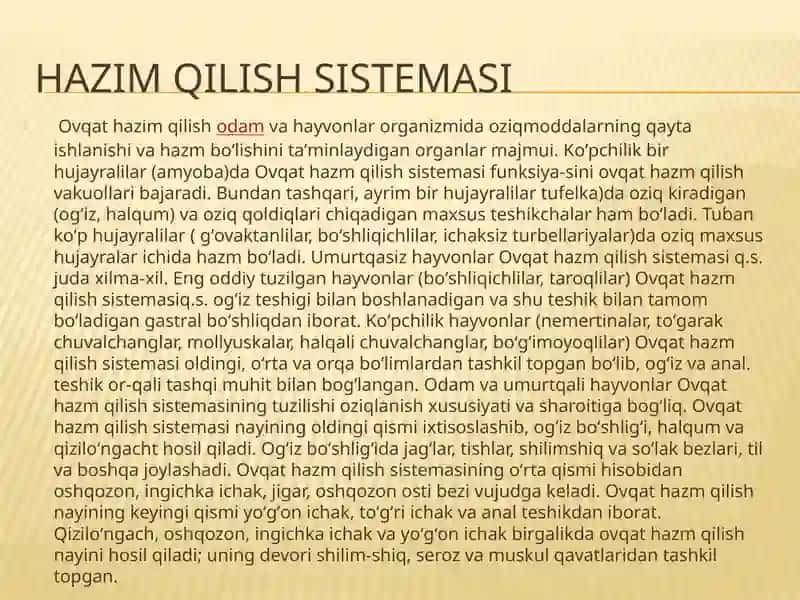 Hazimqilish Sistema 2