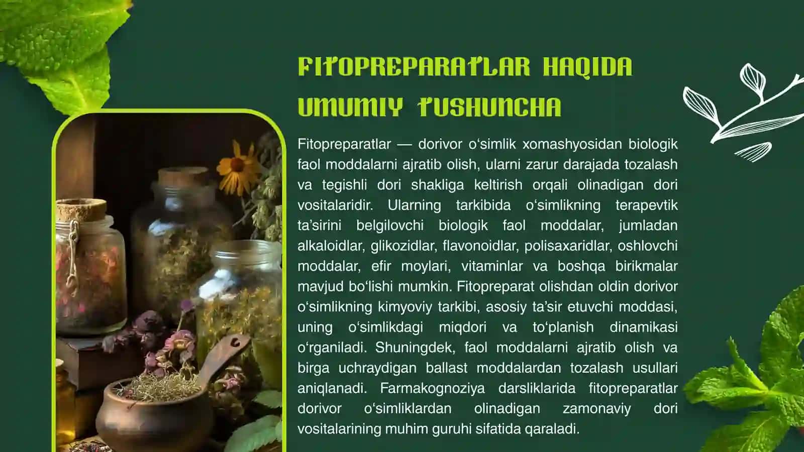 FITOPREPARATLAR VA ULARNING QO‘LLANILISHI 2