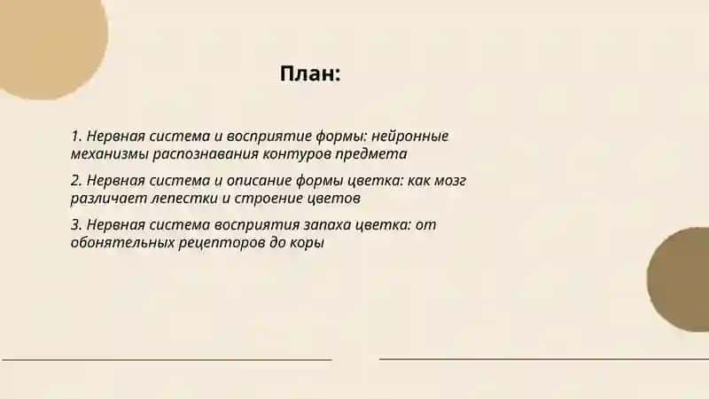 Нервная система описание формы цветка запаха вкуса размера предмета 2