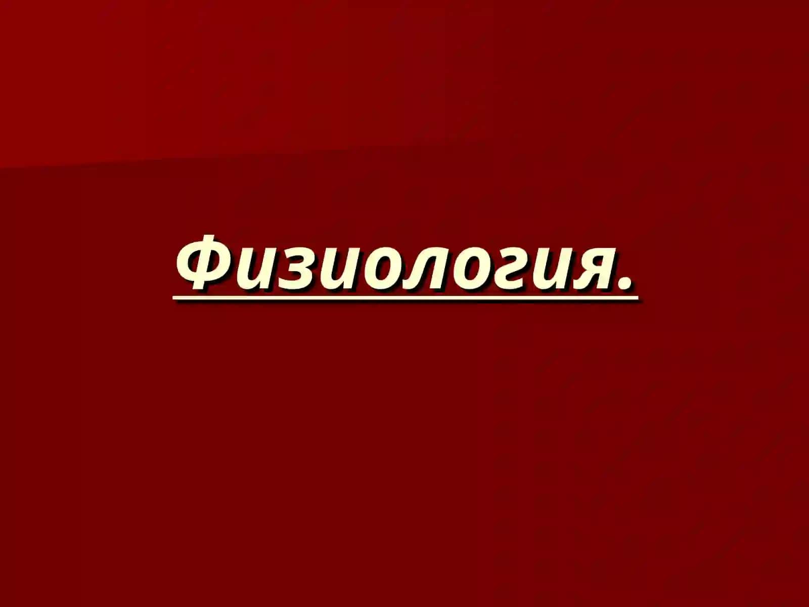 Сердечный цикл 2