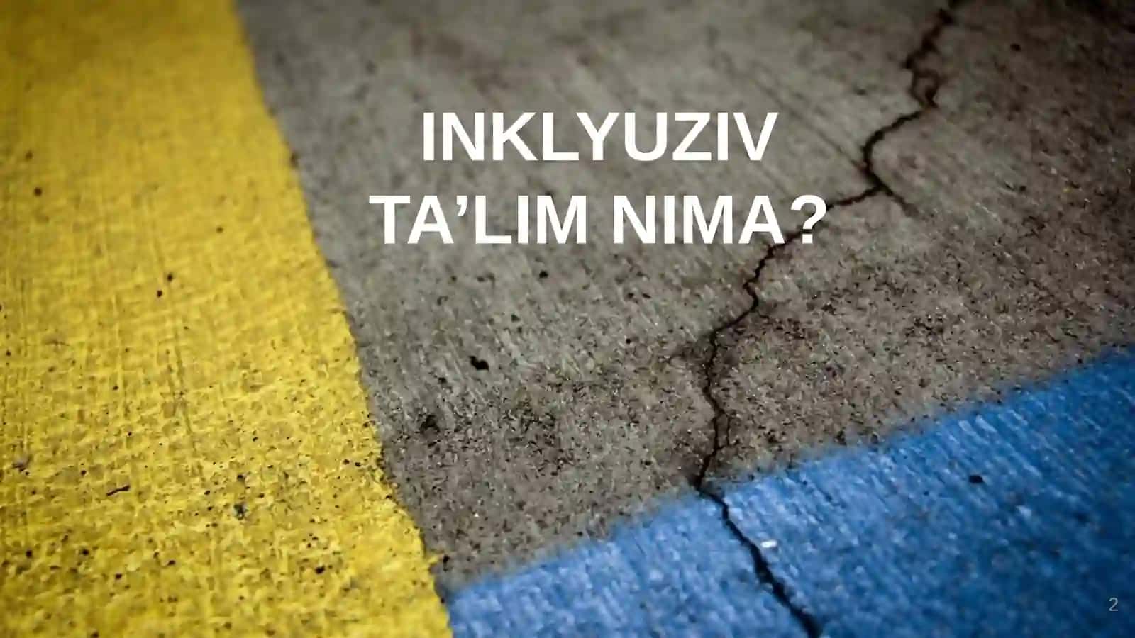 INKLYUZIV  TA'LIM 2